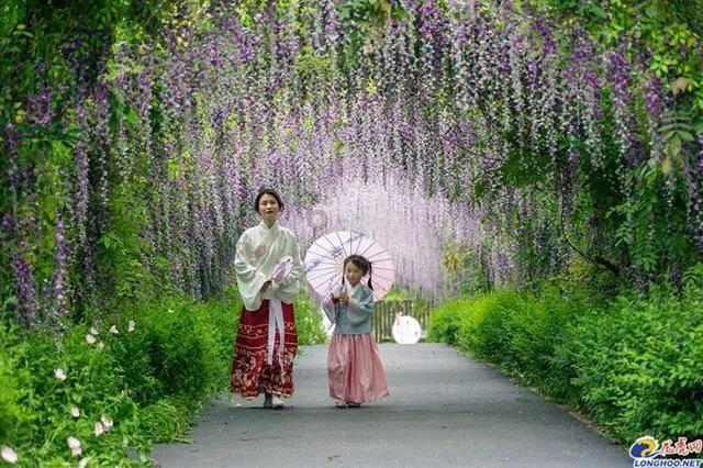 蜘蛛森林逃生