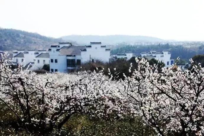 火柴算算数