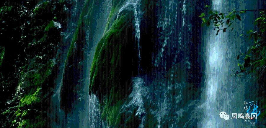 熊出没水果大陆2