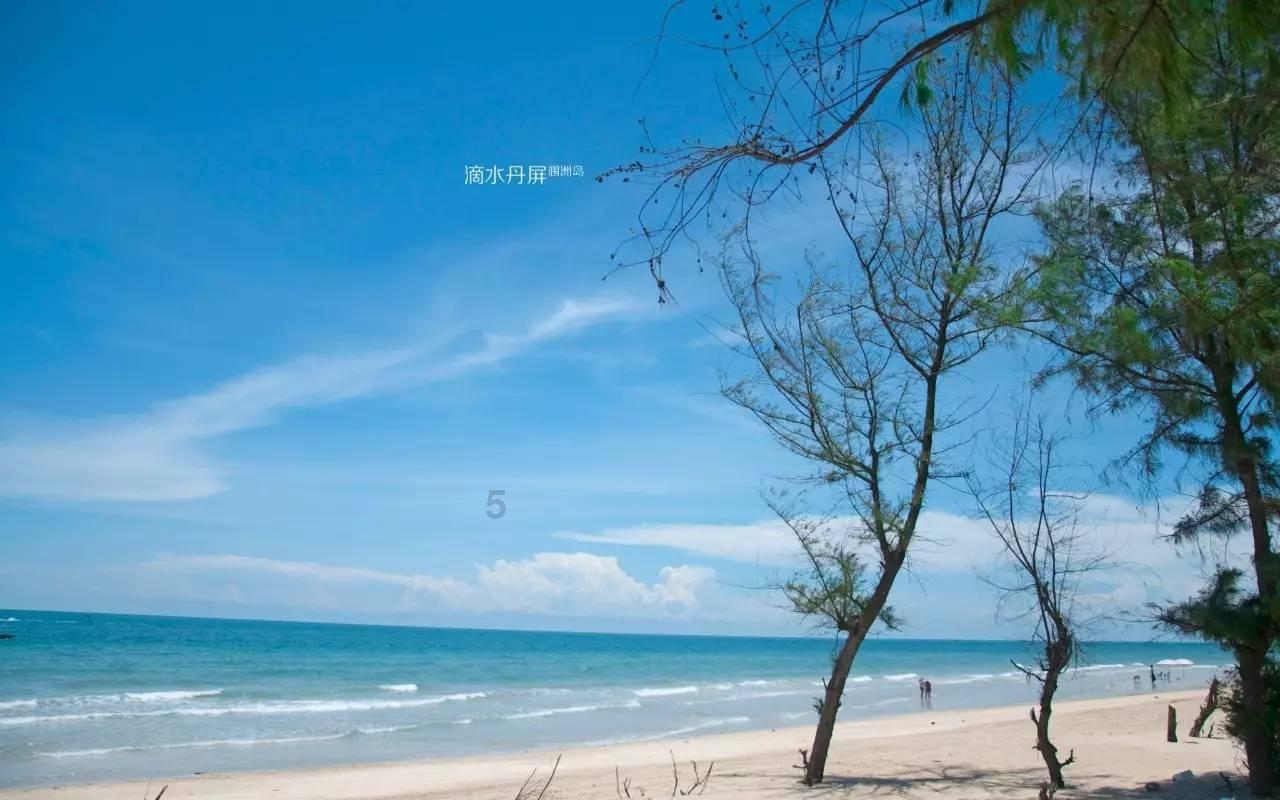 雅迪“丢车包赔”，丢一把钥匙少赔两成，这种格式条款是否合理？游戏画面