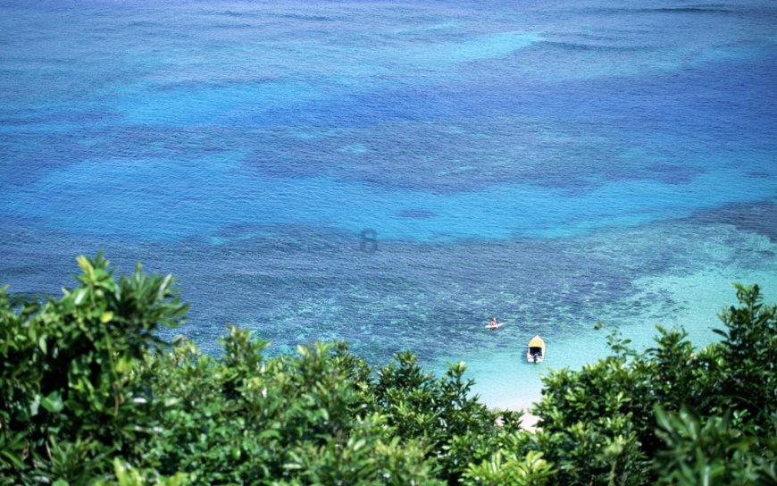 哈尔滨藏冰术，采自松花江的冰块竟然可以熬过来年的炎热夏季？