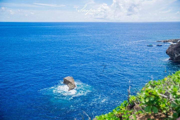 急速变色龙
