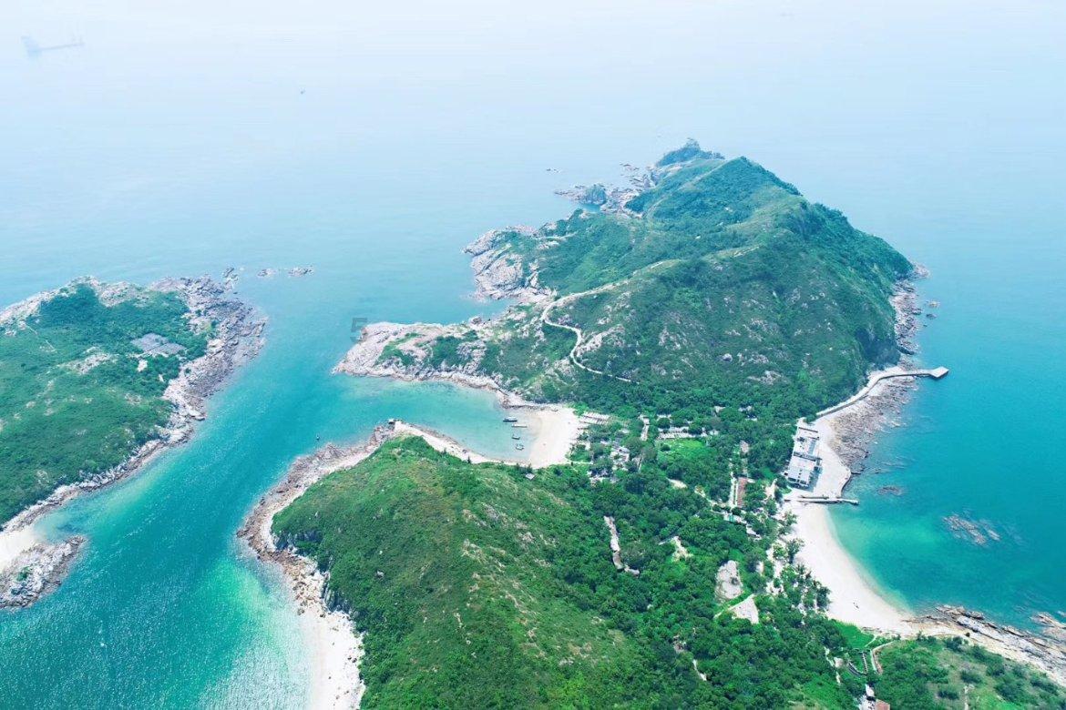 动物帮帮忙保卫家园
