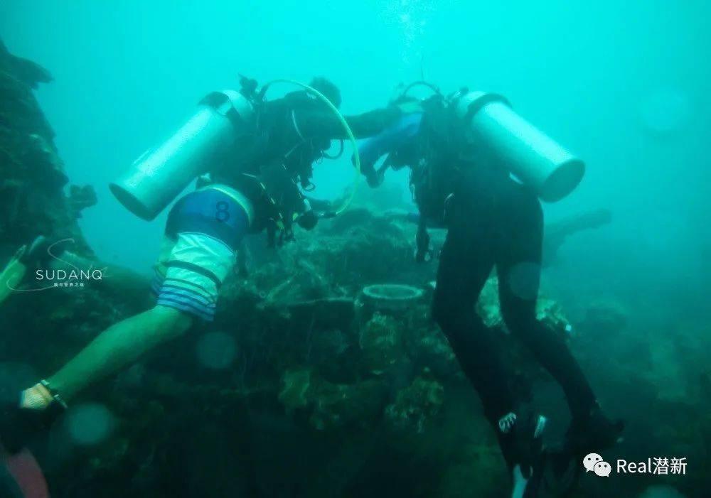 牛油果面包