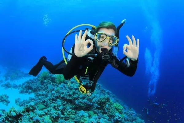 到底该不该喂养流浪动物?喂了两年的过来人竟告诉我“不要喂”