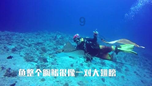 你的身边有没有从来都不发朋友圈的人？都是怎样的人？游戏画面