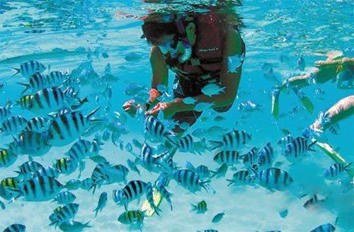 如何通过会议租车优化您的商务旅行？