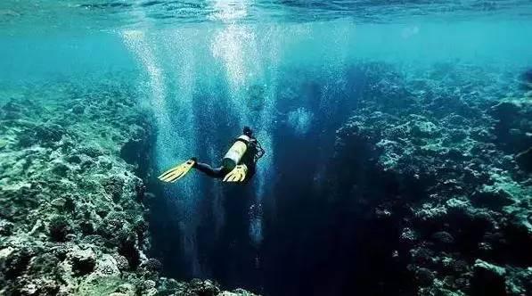 杭昌高铁黄山至南昌段开通“满月” 管内三站发送旅客近19万人次