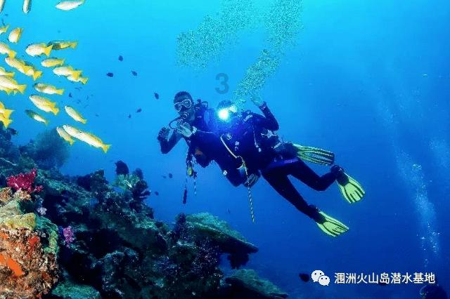 蓝狐视频