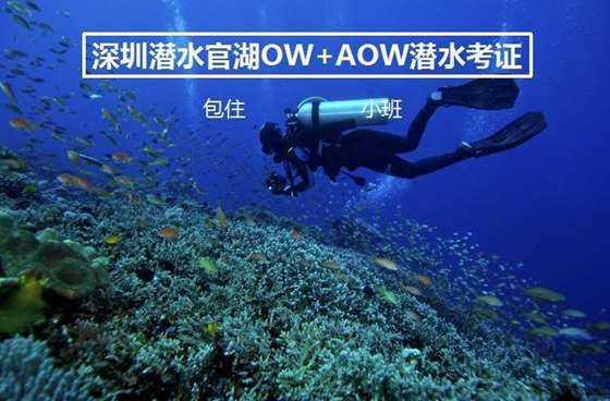 培养“政采明白人”，内蒙古印发通知建立政府采购专管员制度