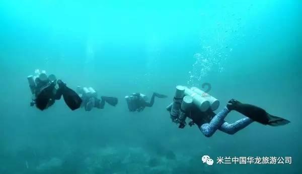 梦想的后院