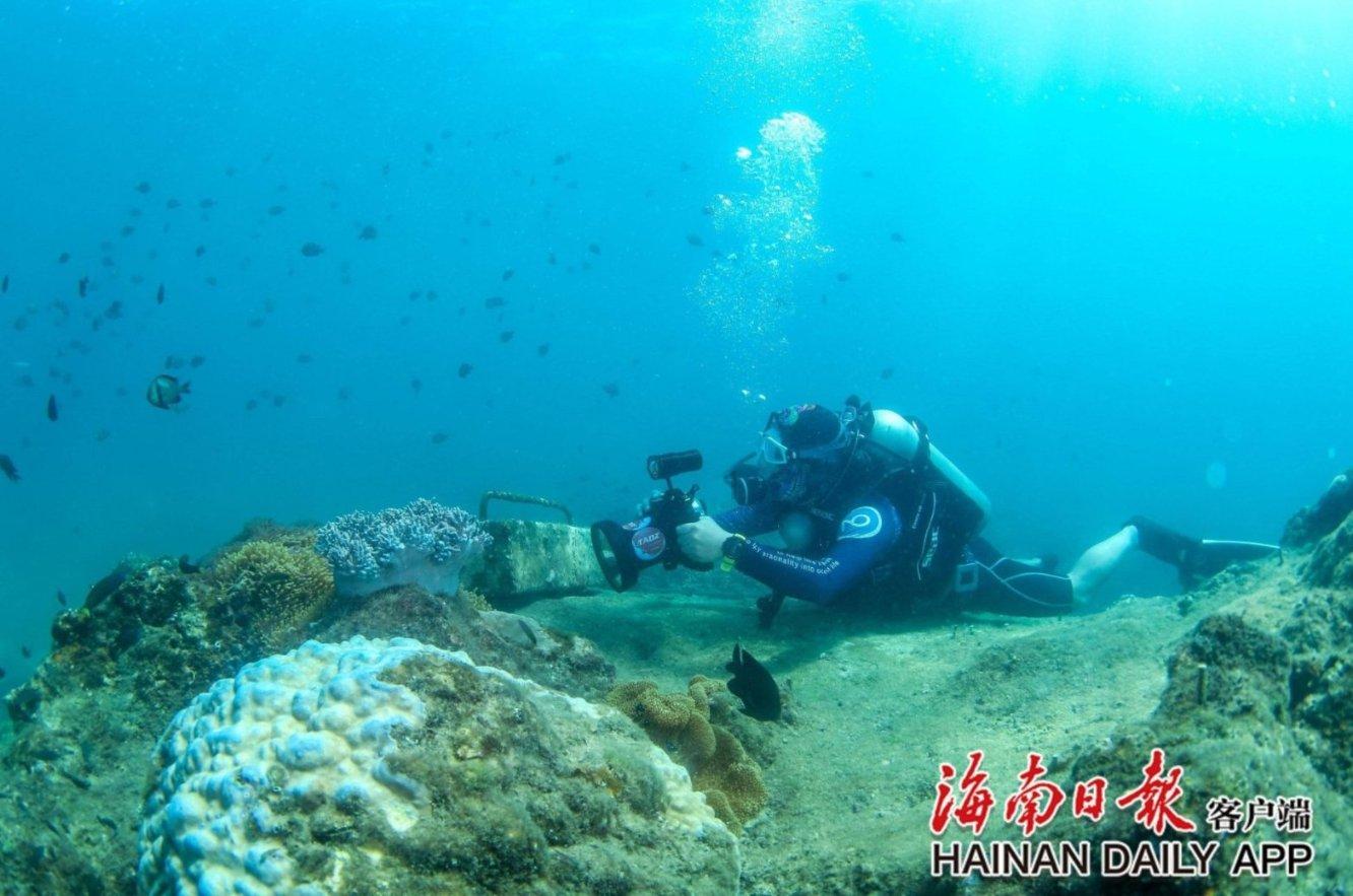 沧州银行廊坊分行: 扮演“三重角色” 助力经济发展显担当