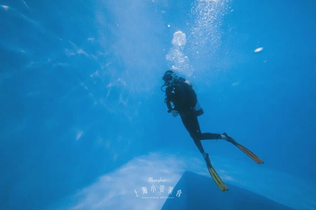 龙耀七载 共振四海| 傲雪棋品牌七周年庆典璀璨开启,荣耀绽放