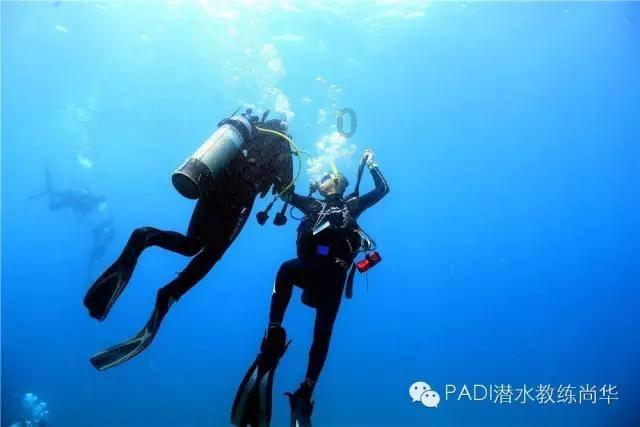 埋葬的秘密