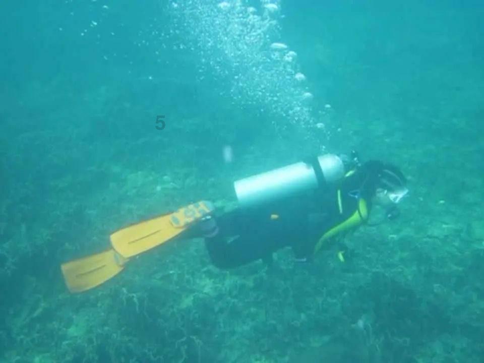 次元喵
