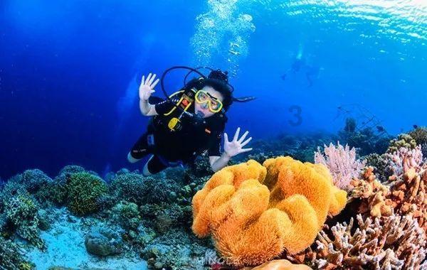 大结局：大叔定制钻戒，一生只能送给一人，他终于确定内心真爱！游戏画面