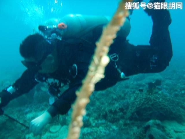 月光影视