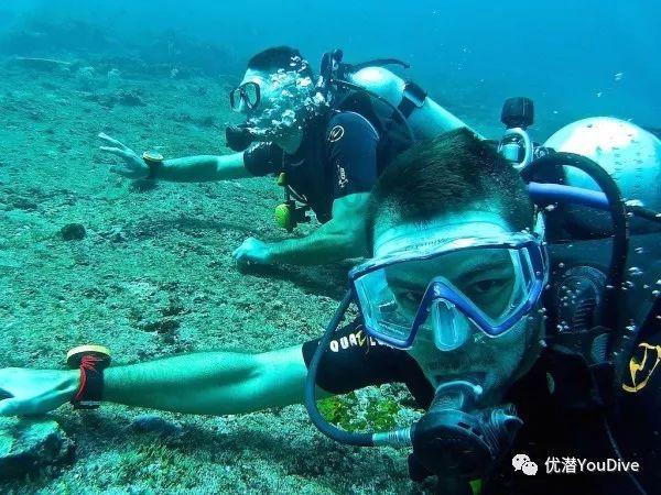 家电行业迎来2024年第一个大红包