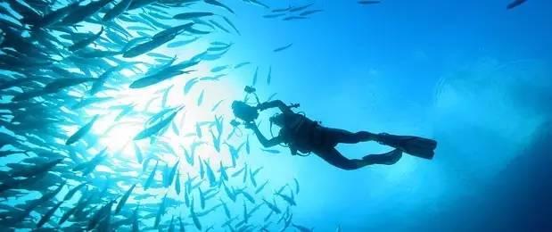 秋季浪漫约会