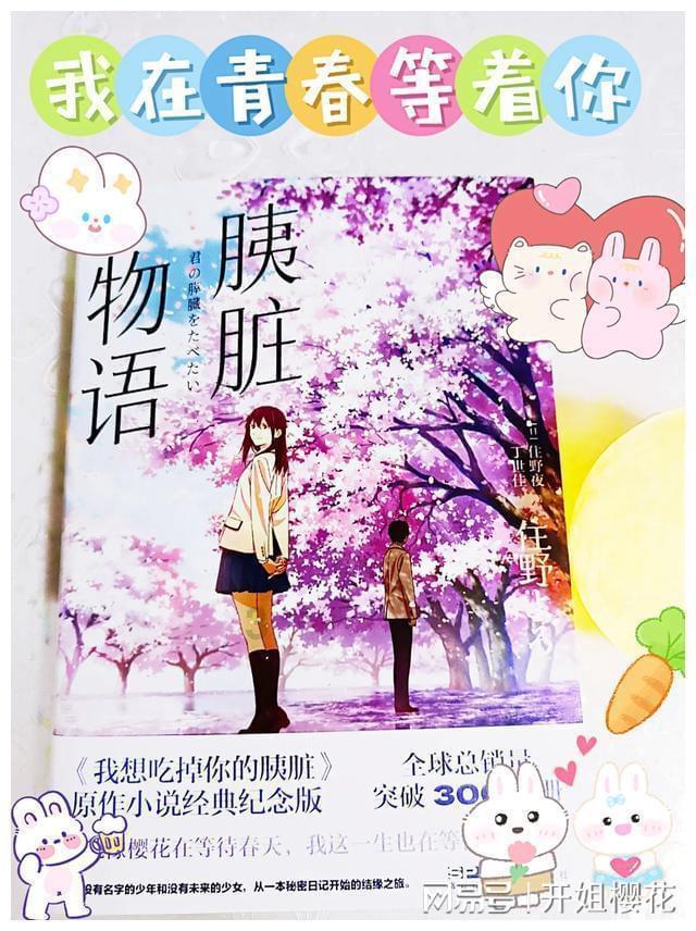 小猫钓鱼游戏龙王版有船