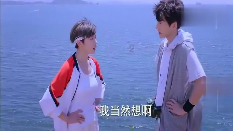华泰(3):押注柴油,开始魔改,一位先行者的陨落