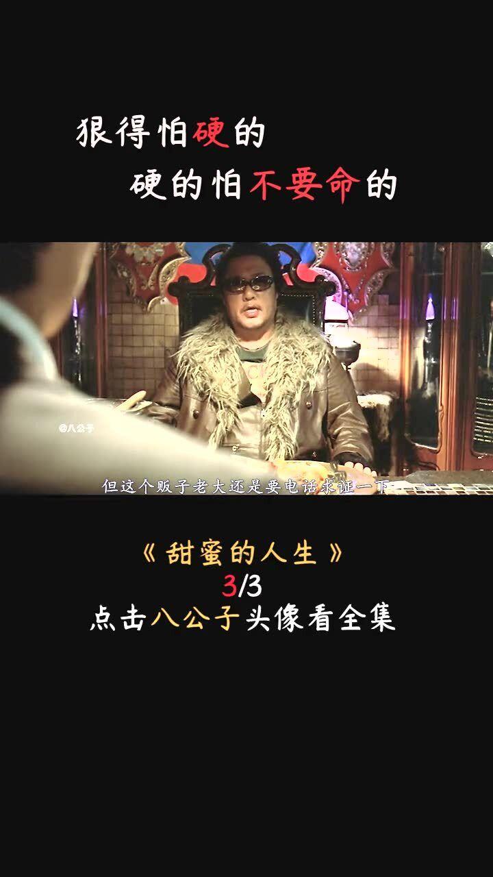 小猫钓鱼开船版最新版下载