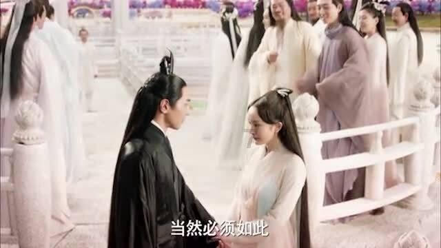 照顾小兔宝宝