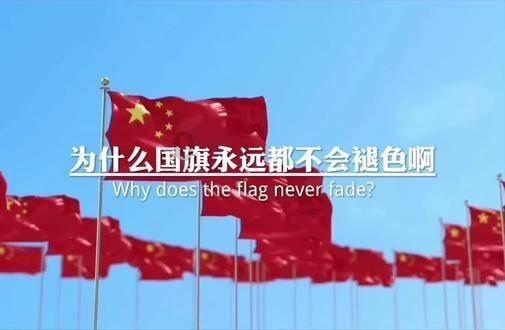 轨道交通……闵行如何按下建设“加速键”？代表委员这样建议