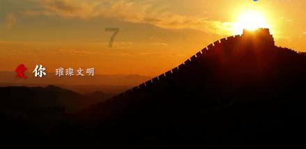 细胞分裂5