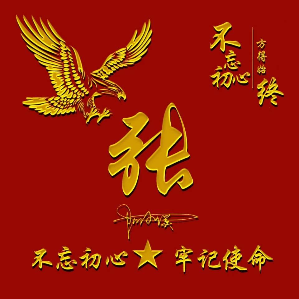 旋转飞机