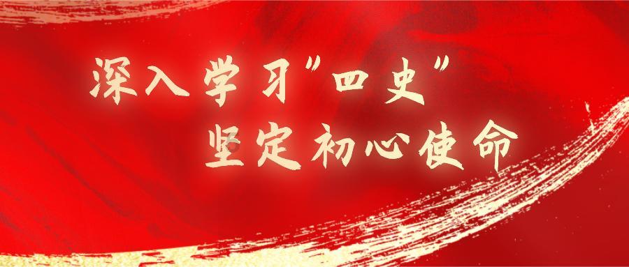 生化危机：浣熊市行动