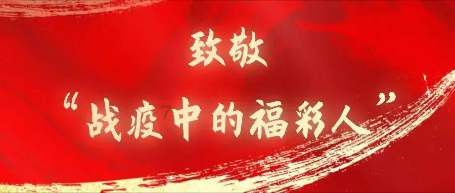 创作猫