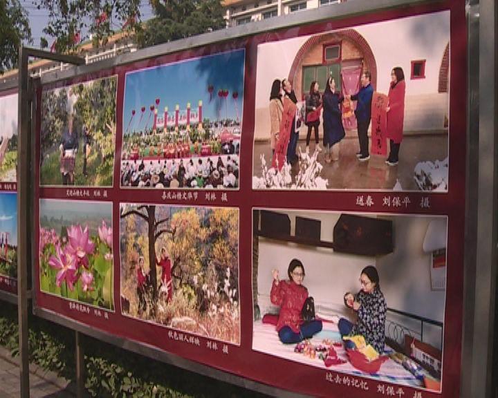 12岁女孩可以吃海参吗游戏画面