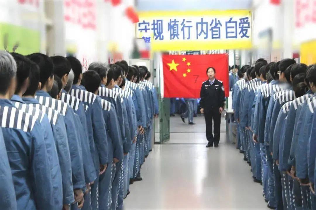 创作猫
