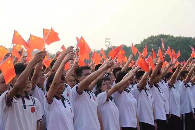 虫虫助手下载