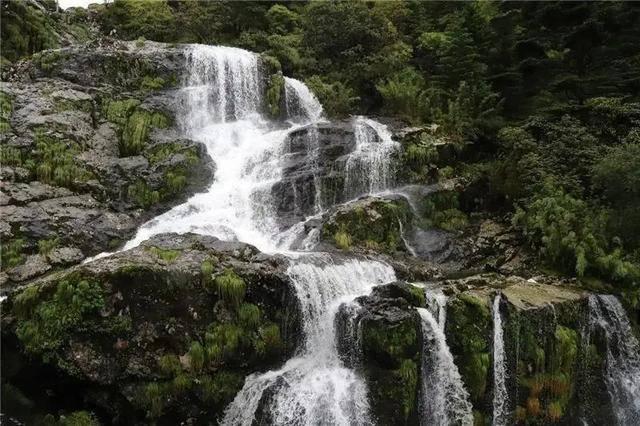 春雨直播app