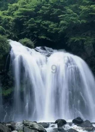 报“暗号”就能免费用餐,杭州这家重庆面馆是认真的!