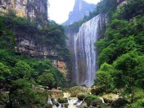 为何狼在遇到婴儿时,将其养大而不是吃掉呢?专家说出缘由