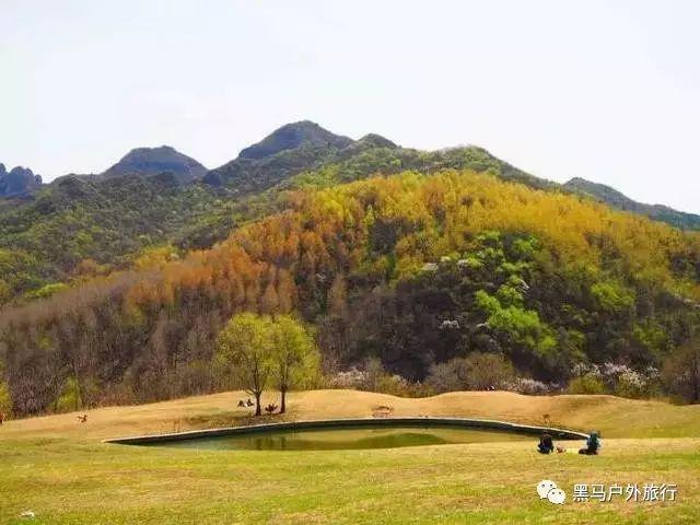 迷你西游