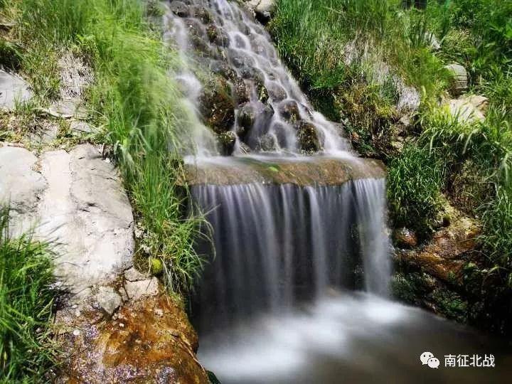 双向奔赴的温暖！东北大哥免费送“小土豆”后收到意外惊喜