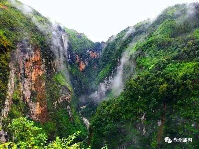 脑洞小老弟无实名认证