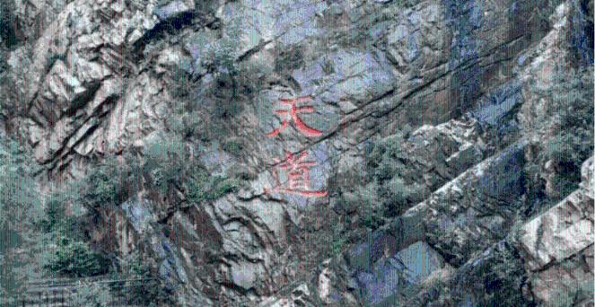 《第二十条》预售开启，赵丽颖与马丽高叶打扑克，调侃“丈夫”潘斌龙不敢和她坐一块