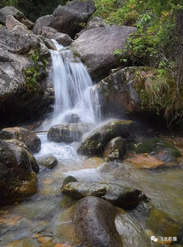 春雨直播app