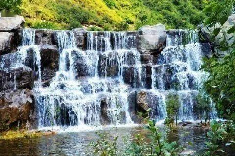 寻找沙漠珍宝