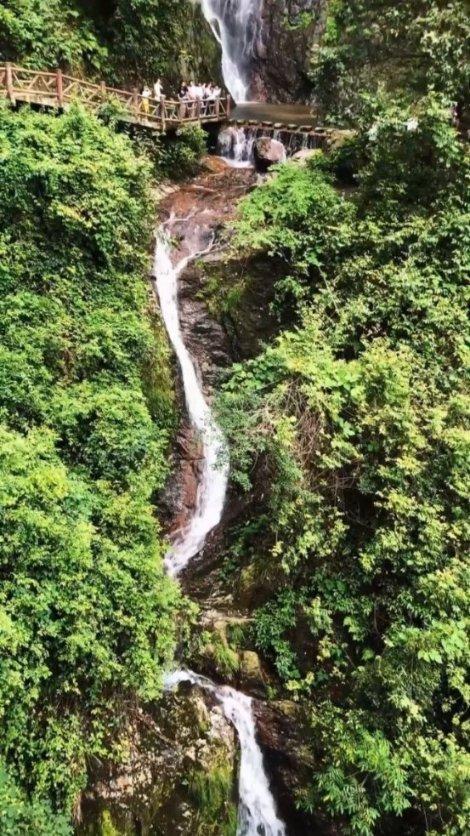 脑洞小老弟无实名认证