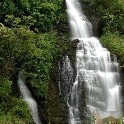 如果爱人背叛了你，你会原谅对方么？游戏画面