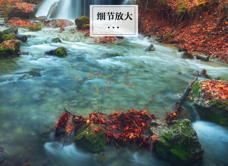 沪江开心词场