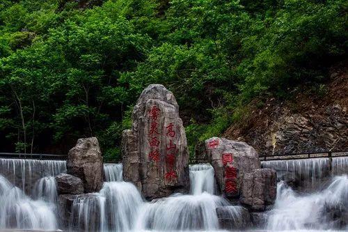 逃离野丛之森