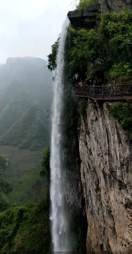 水系战士