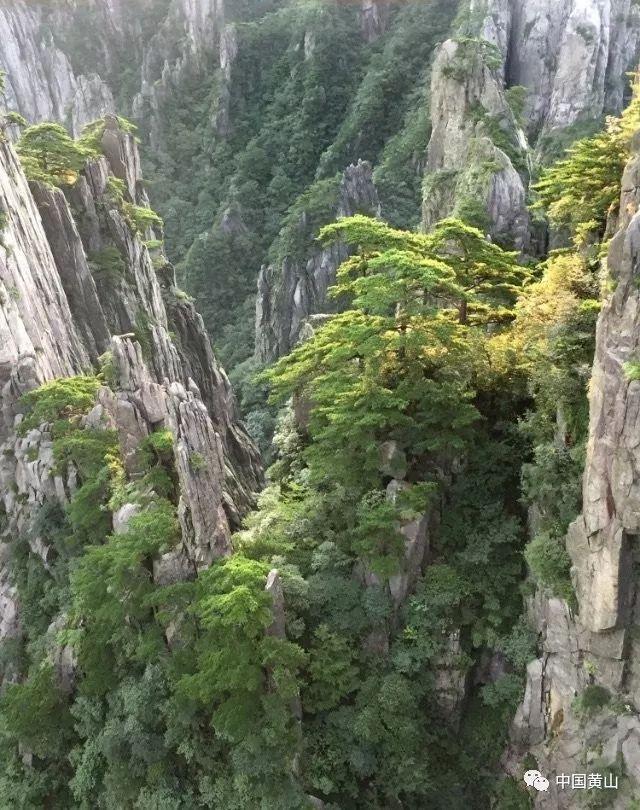 被坏人抓住了怎么办?-知识星球-专业知识分享交流社区